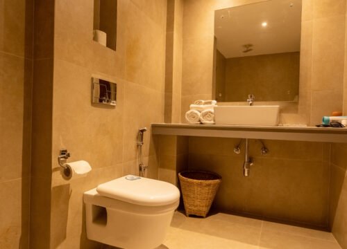 Double Deluxe Room Room Bathroom
