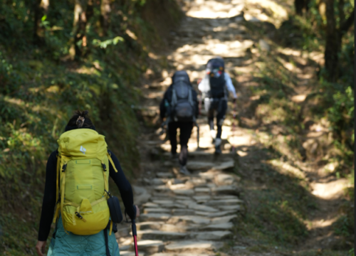 Australian camp full day hike