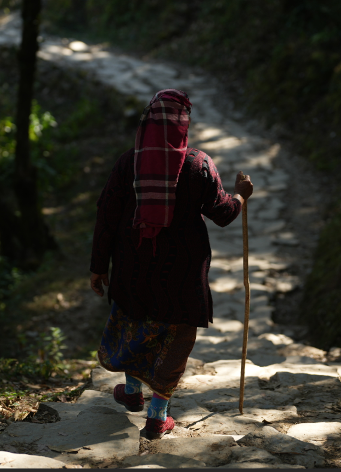 australian camp full day hike