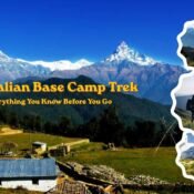 Australian Base Camp & Dhampus Trek